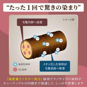 【ポイント6倍】ホーユー シエロ カラートリー...の詳細画像3