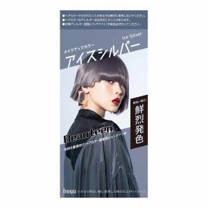 テンスター ヘナ カラートリートメント ソフトブラック TH3-54 ( 250g