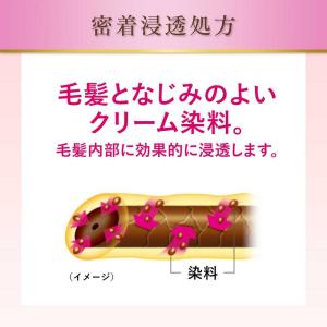 【医薬部外品】ホーユー ビゲン スピーディカラ...の詳細画像2