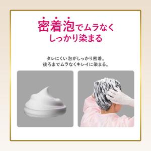 【医薬部外品】ホーユー ビゲン スピーディカラ...の詳細画像2