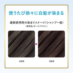 ホーユー ビゲン ヘアマスカラ ナチュラルブラ...の詳細画像2
