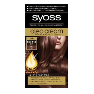 テンスター ヘナ カラートリートメント ソフトブラック TH3-54 ( 250g