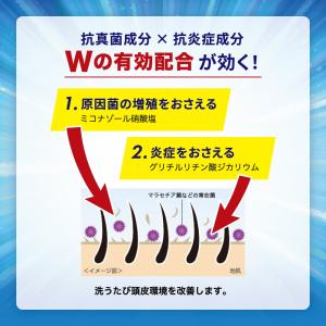 メディクイックH 頭皮のメディカルシャンプー ...の詳細画像2