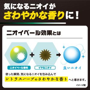 【医薬部外品】ロート製薬 デオウ スカルプケア...の詳細画像4