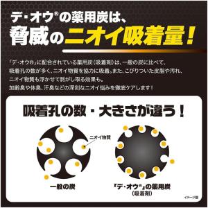 【医薬部外品】ロート製薬 デオウ スカルプケア...の詳細画像3