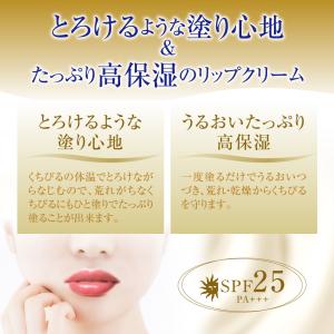 ロート製薬 メンソレータム メルティクリームリ...の詳細画像1