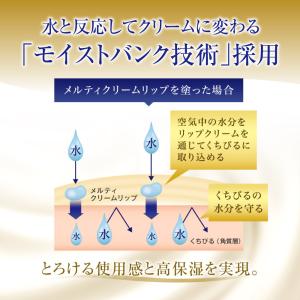 ロート製薬 メンソレータム メルティクリームリ...の詳細画像2