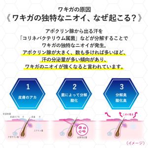 【医薬部外品】ロート製薬 リフレア デオドラン...の詳細画像2