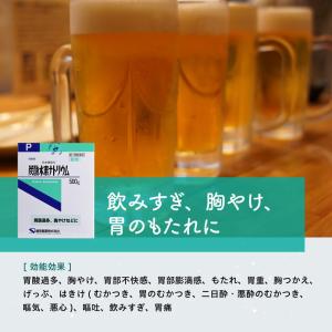 【第3類医薬品】健栄 炭酸水素ナトリウムP 500gの詳細画像1