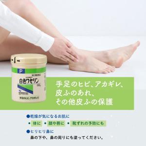 【第3類医薬品】健栄 白色ワセリンP 500gの詳細画像1