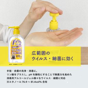 【指定医薬部外品】手ピカジェルプラス 300mlの詳細画像2