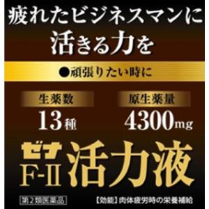 【第2類医薬品】大正製薬 ゼナF-II活力液 ...の詳細画像1