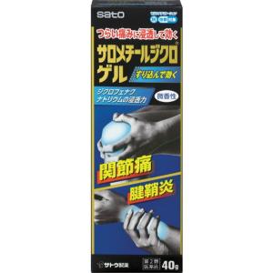 サロメチールジクロゲルの商品画像