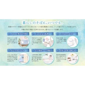 ◆【食品添加物】小堺製薬 ハッカ油 30mLの詳細画像1