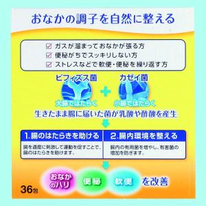 【指定医薬部外品】ヤクルト BL整腸薬 36包の詳細画像2