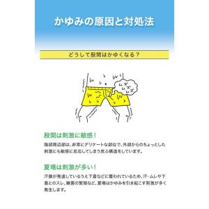【第3類医薬品】池田模範堂デリケアMs35G ...の詳細画像2