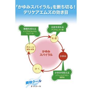 【第3類医薬品】池田模範堂デリケアMs35G ...の詳細画像3