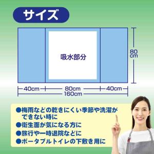 白十字 サルバ ケアシーツ 使い捨てタイプ 6枚の詳細画像2