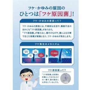 持田ヘルスケア コラージュ フルフル ネクスト...の詳細画像2