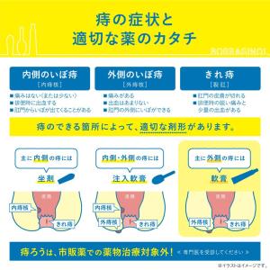 【指定第2類医薬品】ボラギノールA 軟膏 20gの詳細画像5