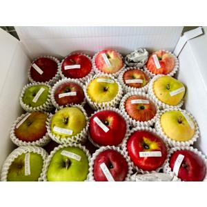 りんご いろいろBOX （大5kg）