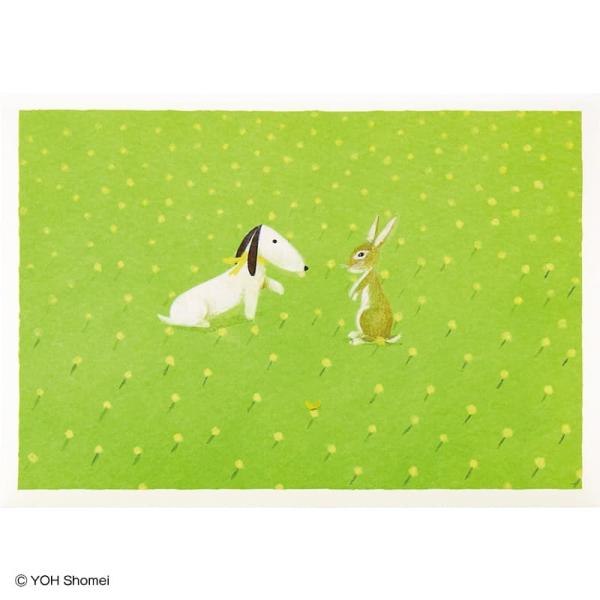 多目的カード ジェイクとウサギ/葉祥明 MU129-2 832120 サンリオ sanrio グリー...