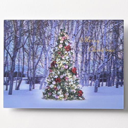 クリスマスカード 3Dポストカード PX4567 イーズプロダクツ EASE グリーティングカード ...