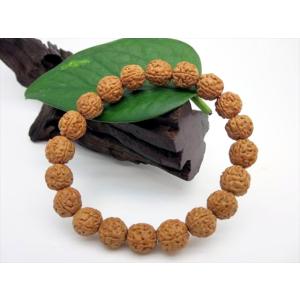 均一ブレスレット 金剛菩提樹 ルドラクシャ Φ5.6±0.2mm : 天然石のお店