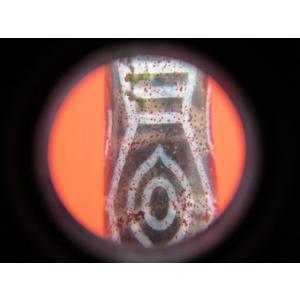 龍眼紅朱砂天珠 約49×13mm 一点物の詳細画像4