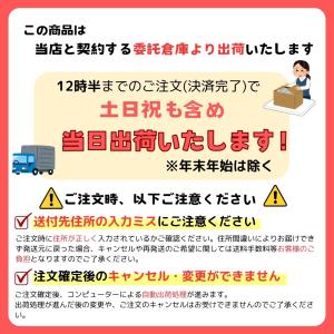 土日祝も発送! EPSON用互換インクカートリ...の詳細画像2