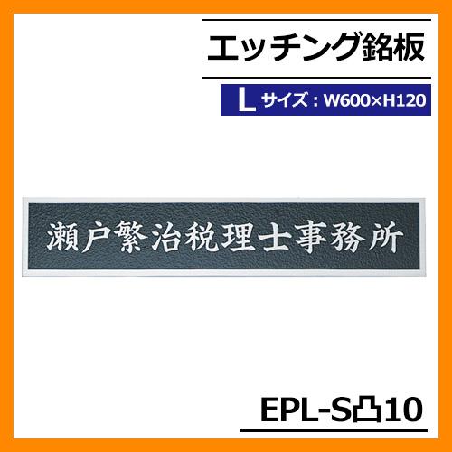 表札 ステンレス表札 エッチング銘板 Lサイズ EPL-S凸-10 W600×H120×T2mm 丸...