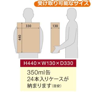 ナスタ 小型宅配ボックス スマート 前入れ前出...の詳細画像3