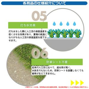 人工芝 ロール ベランダ メモリーターフAIR...の詳細画像4