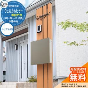 集合郵便受箱 DH-N1 1戸用 ダイヤル錠 (KEY-02) コーワソニア sonia