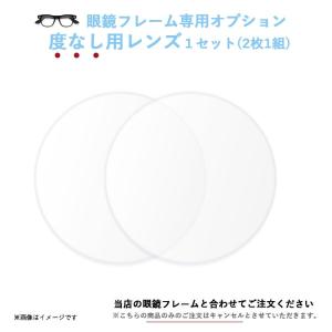 度なしレンズ(伊達めがね用レンズ) ニコン・エシロール 撥水加工 UVカット(UV380)レンズ 2枚1組 【単品購入不可】【サングラス対応不可】｜sunglassfactory