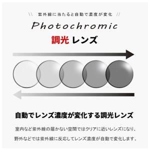 ナイキ 調光サングラス IQ9344X 060...の詳細画像1