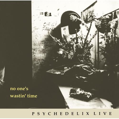 CD/PSYCHEDELIX/NO ONE'S WASTIN' TIME -revisited- (...
