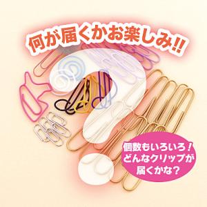 【お一人様１点まで】いろいろクリップくじ サン宝石