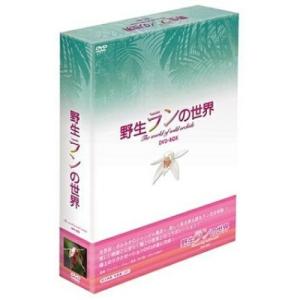 DVD/趣味教養/野生ランの世界 DVD-BOX