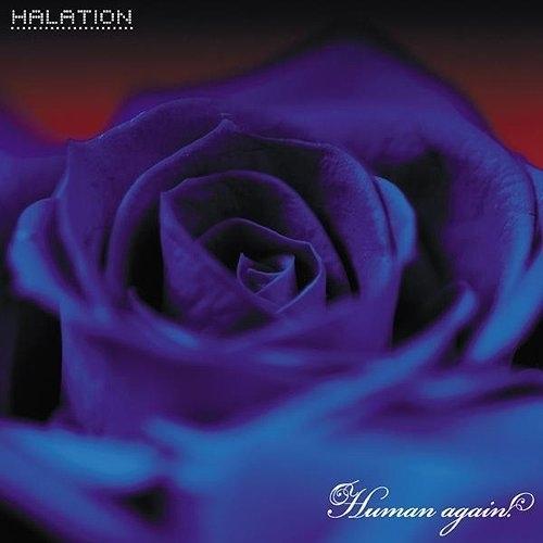 CD/HALATION/ヒューマンアゲイン