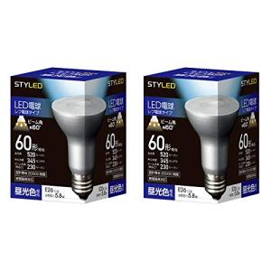 スタイルド スタイルド LED電球 レフタイプ E17口金 2個セット 小型電球 昼光色相当 4W 390lm RL-R4E17D2