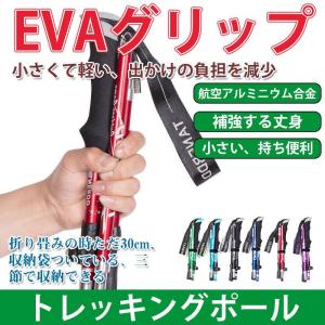トレッキングポール 折り畳み 二本セット 登山ストック