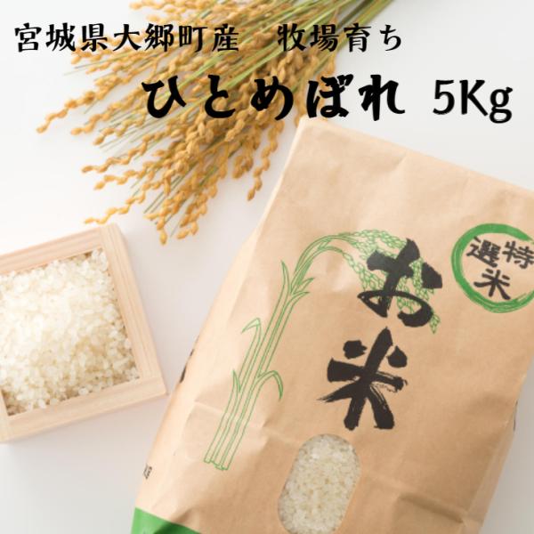 新米 米 5kg ひとめぼれ 宮城県産 令和7年度産 送料無料 白米 玄米 菊池牧場 food 爆買