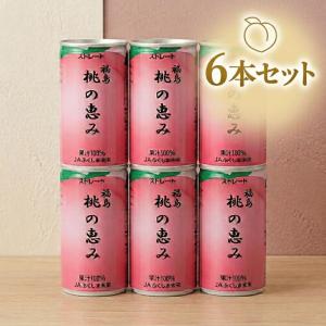 メトロ 山梨県産 桃100％ジュース 1L(4968641011631) : 甲州ワイン