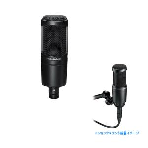 SHURE（シュア） ボーカル用マイクロホン（ガイコツマイク） 55SH
