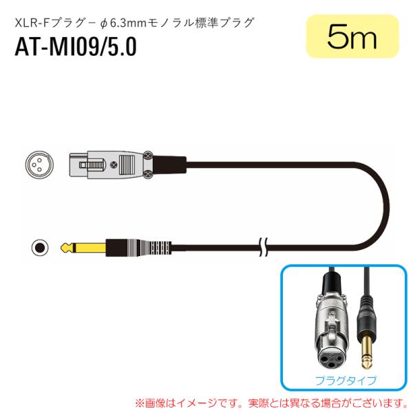AUDIO-TECHNICA  AT-MI09/5.0 安心の日本正規品！ XLR変換ケーブル