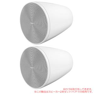 BOSE FS2C ホワイト 2本ペア FS2CW 日本正規品！ 天井埋め込み型