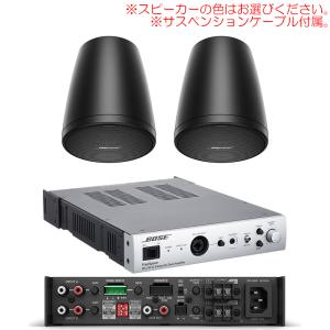 BOSE FS2P IZA250-LZ V2 導入セット2 （スピーカー２本） サスペンションケーブル付属