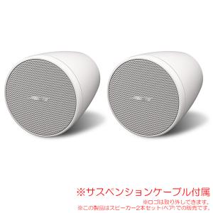 BOSE FS2P ホワイト 2本ペア FS2PW 日本正規品！ペンダント型天井吊り下げスピーカー