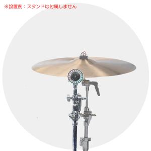 FISHMAN BP-100 ウッドベース用ピエゾピックアップ : ギタープラネット